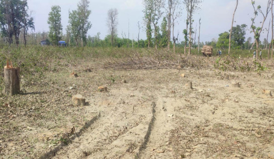 Construction of dry port gains pace in Dodhara Chandani