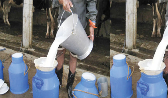 Farmers complain about non-payment of milk
