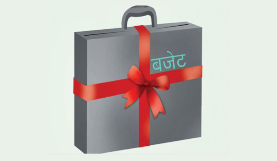 Provincial, local governments to get Rs. 417.8 bn grant, Karnali tops