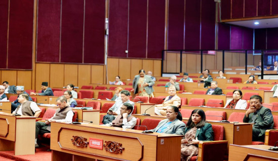 NA session: Not normal to raise questions against system, insist lawmakers