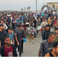 UN calls for investigation into killings near Gaza aid distribution site