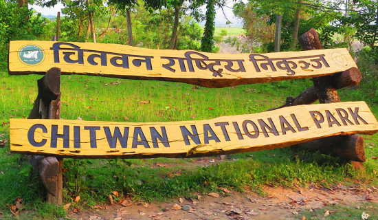 CNP sends 'Mainla' to Central Zoo