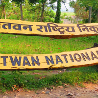 Leader Tamang calls for protecting mountains