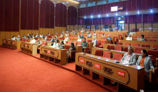 NA meeting: Government's attention drawn on contemporary issues