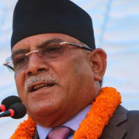 NHRC settles 412 complaints