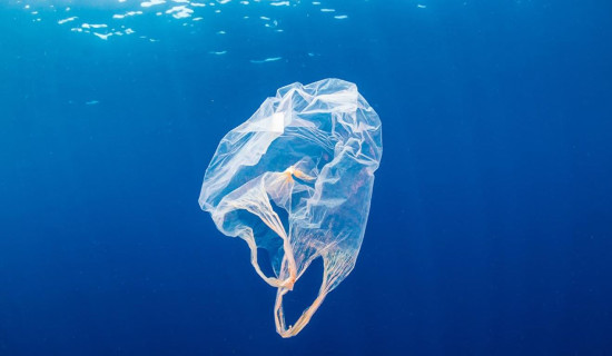 Plastic pollution reached 'unprecedented' levels