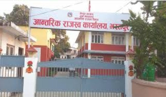 African swine flu and lumpy skin confirmed in Mechinagar
