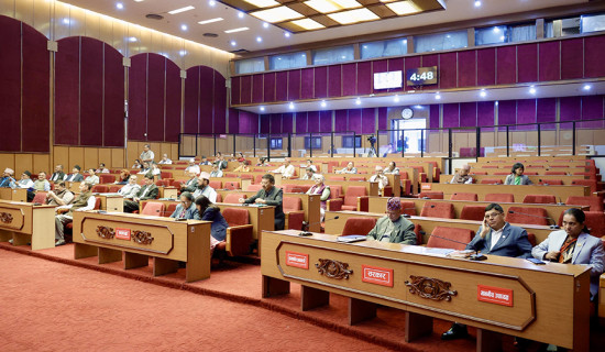 NA passes Customs Bill