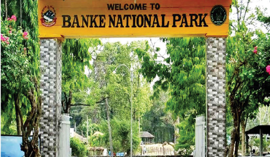 Over 700 tourists visit Banke National Park in 10 months