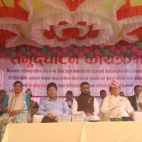 Gai Jatra festival today