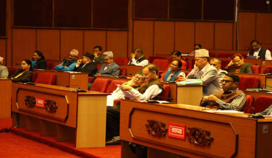 NA members draw government's attention on contemporary issues