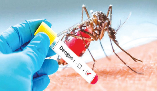 With onset of monsoon, dengue cases surging steadily