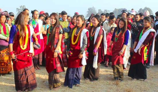 Deusi-bhailo for enriching revolving fund