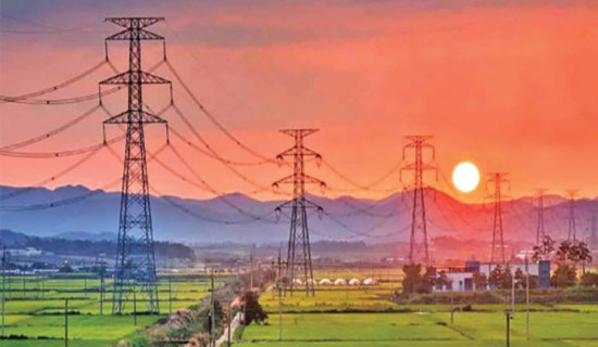 Electricity of Rele Khola connected to national grid