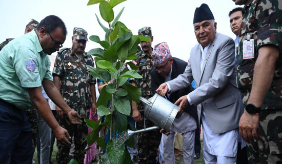 President Paudel highlights role of Chure in balancing ecosystem