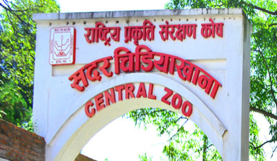 Number of visitors increasing at Central Zoo