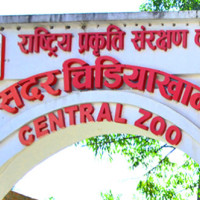 Air pollution is number one health risk factor in Nepal: WB