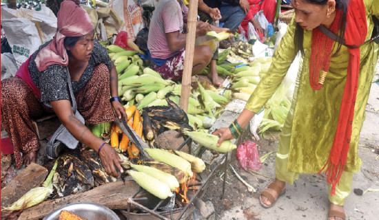 Roasting corn on roadside: A daily grind for survival