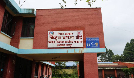 Farmers in Surkhet attracted to commercial litchi farming