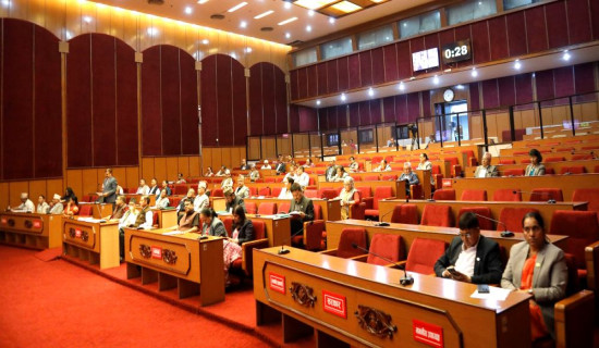 NA meeting: Lawmakers ask government not to stop subsidy for sugarcane farmers