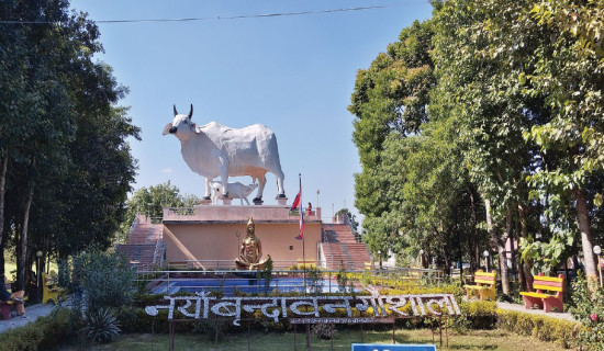 Brindaban Gaushala: A new destination for pilgrims