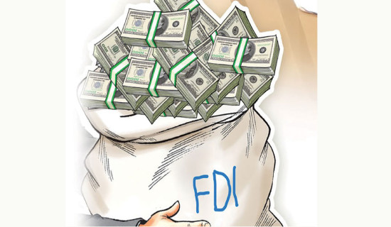 FDI commitment reaches Rs. 60 billion
