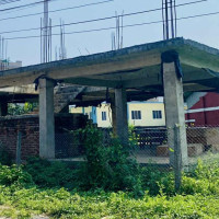 Three girls found hanging in a tree in Jhapa