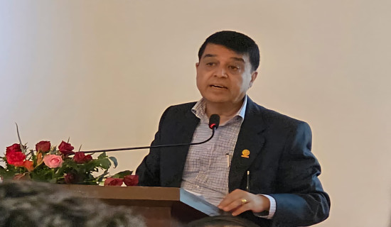 President Dhakal Stresses Stronger Collaboration with HCCN to Make Economic Diplomacy Effective