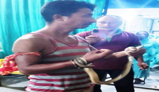 Man reaches hospital with cobra coiled on his hand
