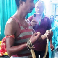 Chormara bridge collapse brings vehicular movements to halt