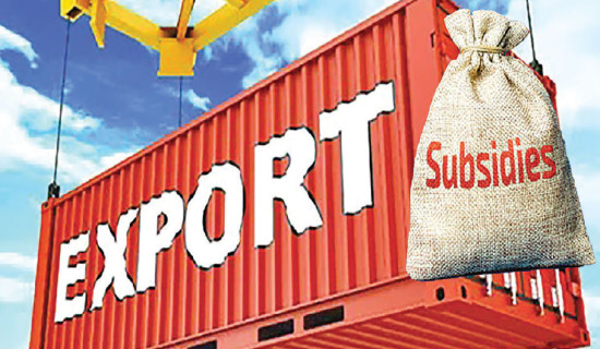 Nepal makes record-high exports