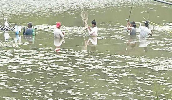 Three lakes of Pokhara in neglected state