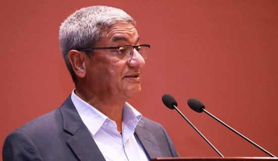 Home Minister briefs HoR session about task of high-level probe committee on visit visa