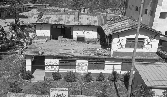 Forest office functioning from earthquake-damaged building