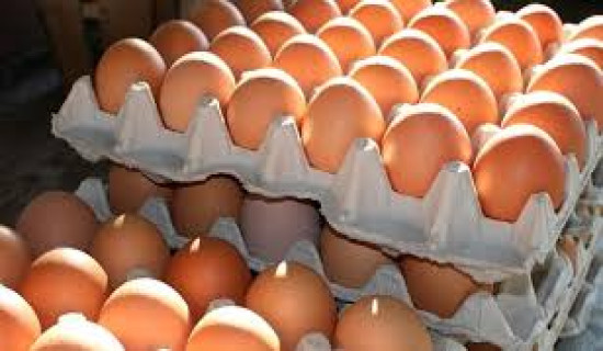 Eggs price increased