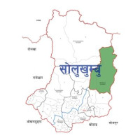 Two children die after drowning in toilet septic tank