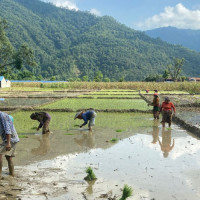 Nepal diaspora urged to utilise knowledge and capital in Nepal