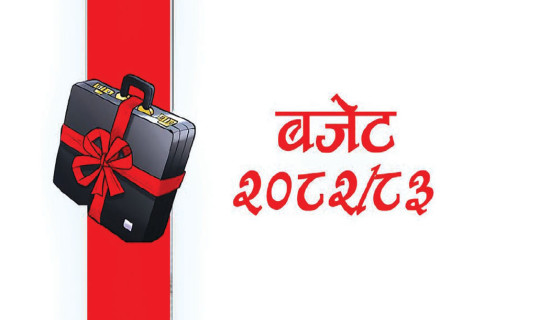 11 local levels in Saptari fail to unveil budget on schedule