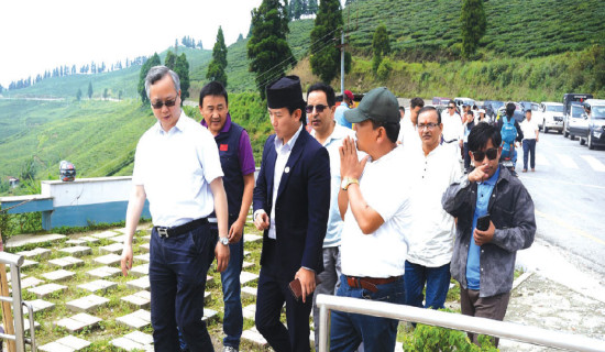 Ilam to promote tourism by offering tea experience