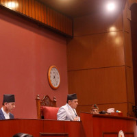 Foreign Affairs Minister to attend 44th Session of FAO Conference
