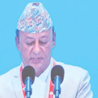 FMTC to sell 1,500 goats, 300 Chyangras in Kathmandu this Dashain