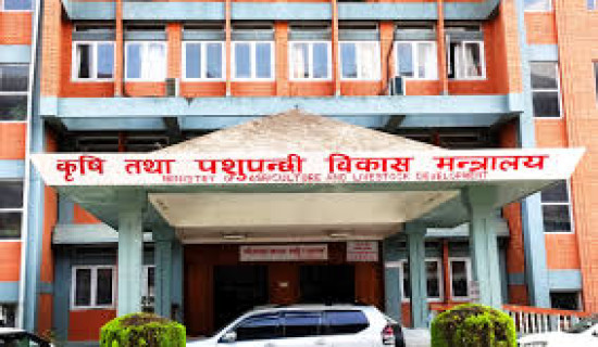 Govt. urges bodies concerned to clear dues of dairy farmers immediately