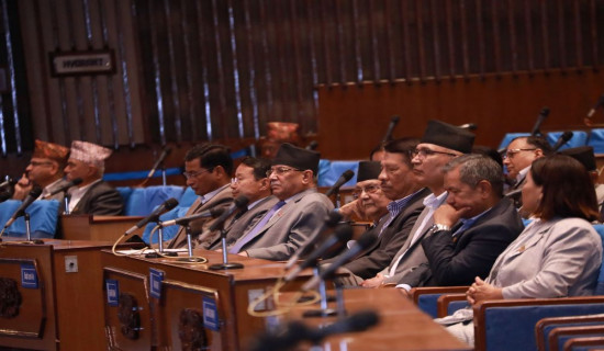 Lawmakers urge govt to ensure quick rescue, compensation to disaster survivors