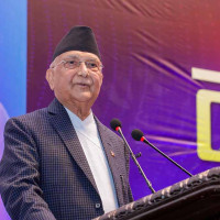 IPL 2025 mid-season review: The importance of mega auction and local leagues