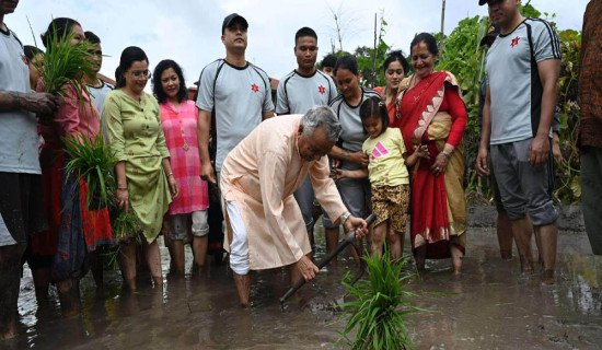 President Paudel participates in paddy transplanting ceremony