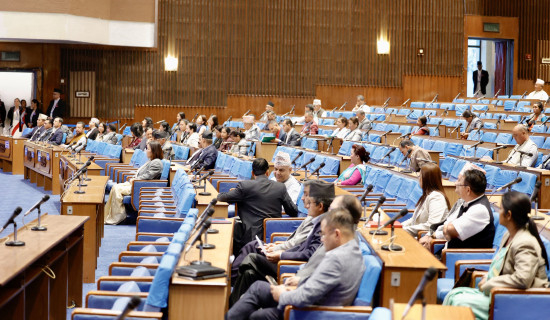 Lawmakers raise various contemporary issues in NA session today