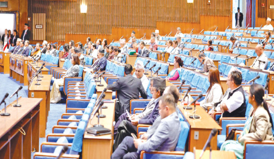 Lower House passes much-awaited Federal Civil Service Bill
