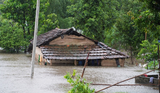 Various areas of Dhangadhi waterlogged