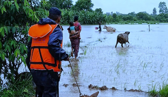 Over two dozen houses inundated in Kanchanpur