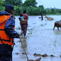 Devastation from Queensland floods 'incredible', premier says